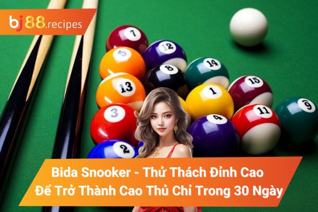 Bida Snooker