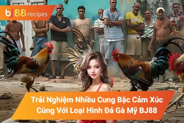 đá gà mỹ
